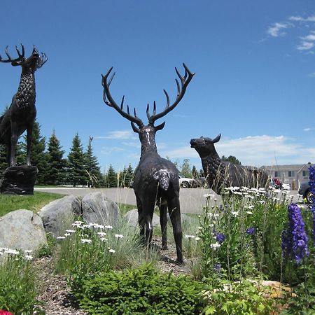 Clarion Inn Idaho Falls Riverfront Buitenkant foto
